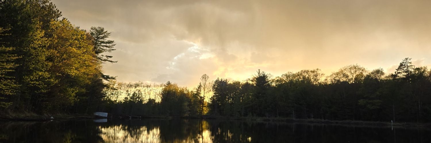 albabyb's profile banner image