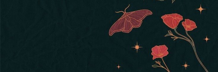 Burrito Mikaano ₊˚ ཐིཋྀ・₊✧ banner