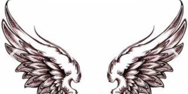 All4Hamed's profile banner image