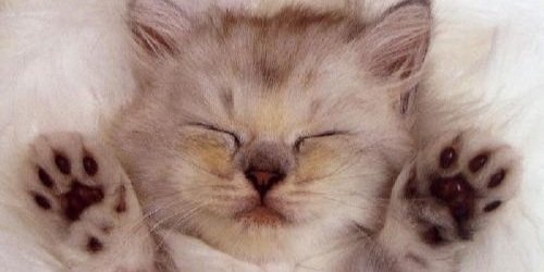 RedheadHead's profile banner image