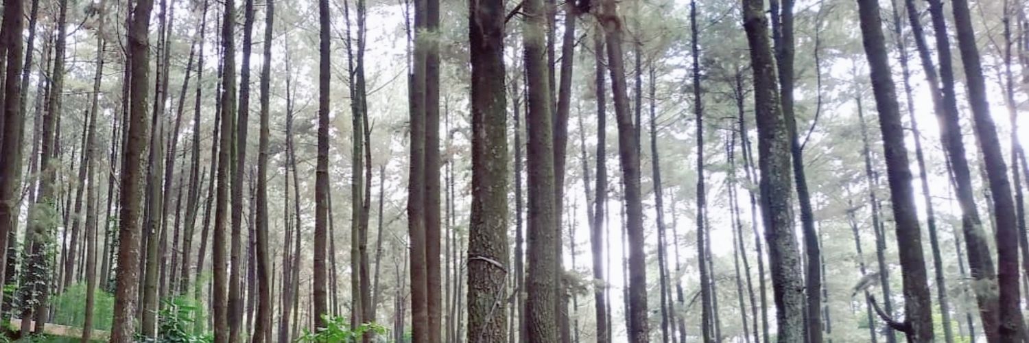 putriieprtw's profile banner image