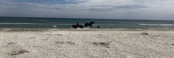 CrisStefana Profile Banner