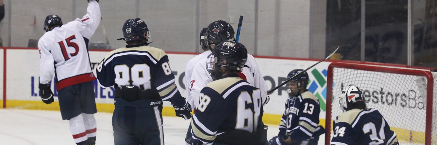 Bob Downey banner