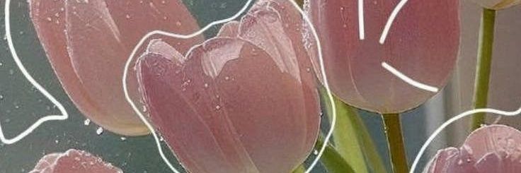 Yumimi LEE💙💙we love LEO💙💙 banner