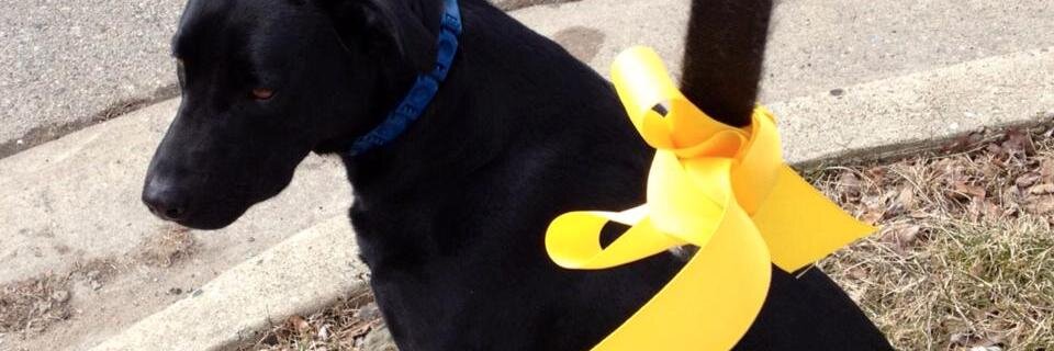 Yellow Dog Project banner