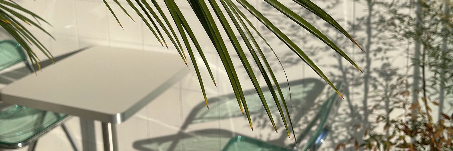 𝙕𝙖𝙣𝙚. | ฟอลแบคด้วยนะคะ;-; banner