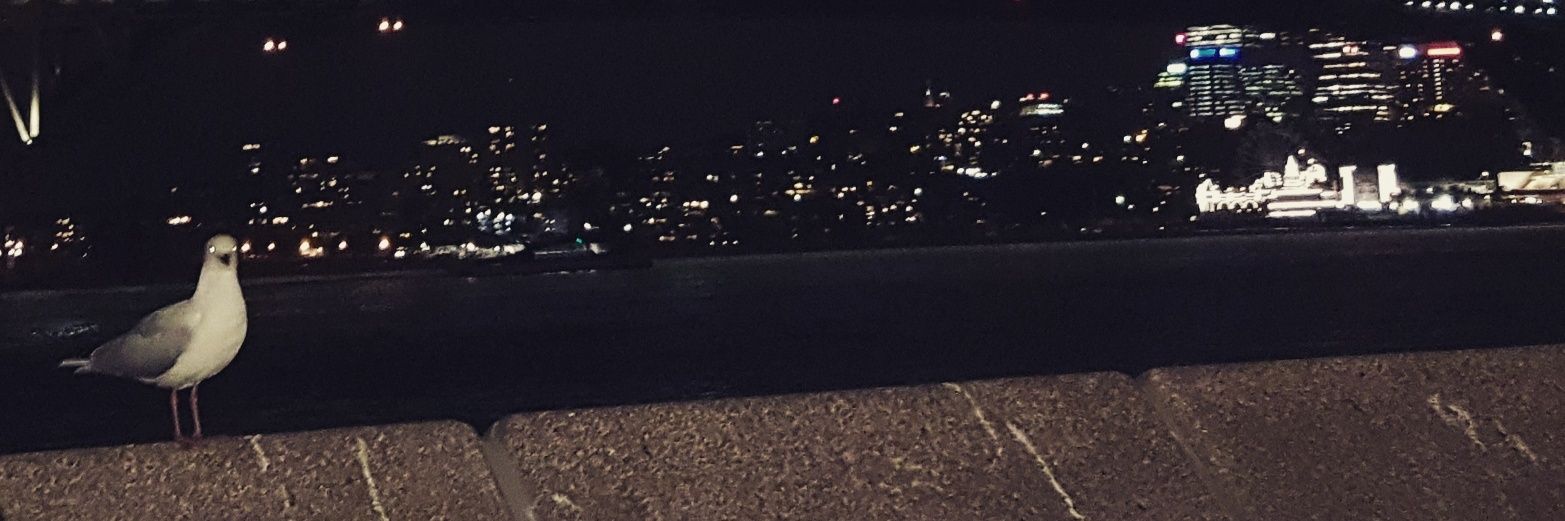 goodgoaJ's profile banner image