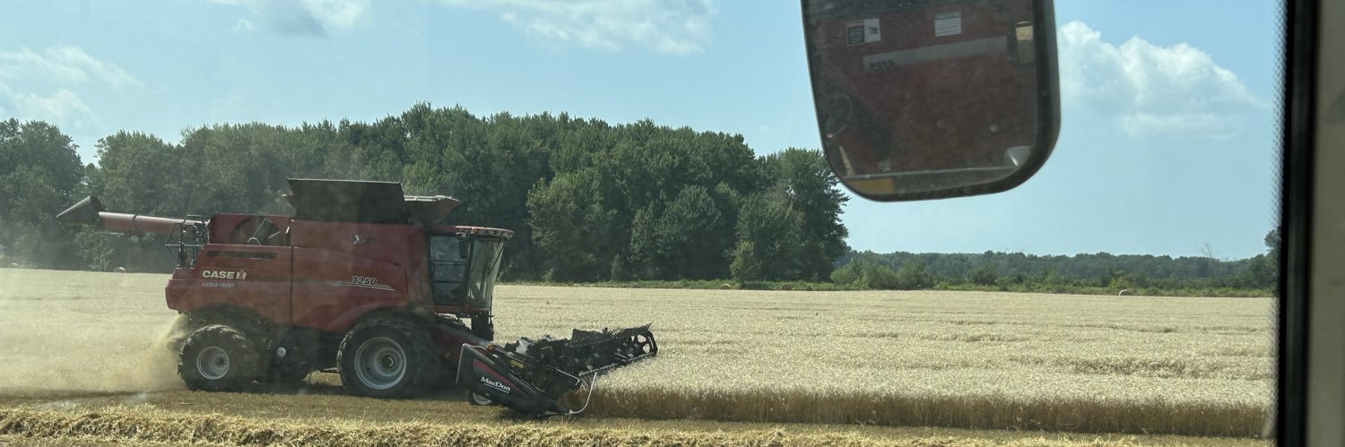 Patrick Hamilton banner