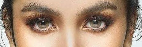 jb banner