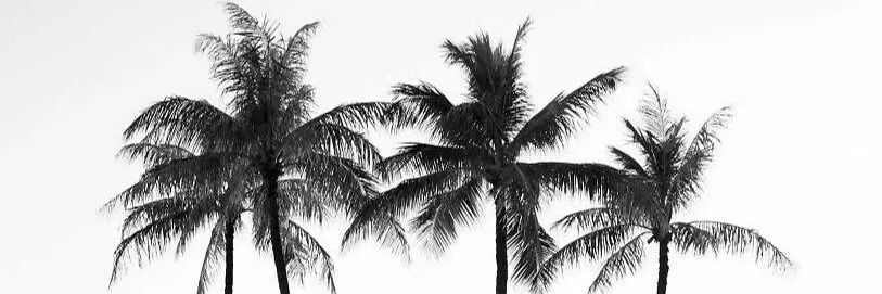 frederic_huet_'s profile banner image