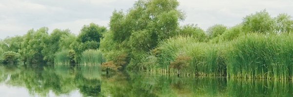 SGoswamiMDPhD Profile Banner