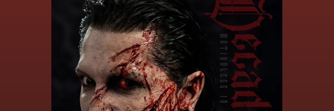 xoliandris's profile banner image
