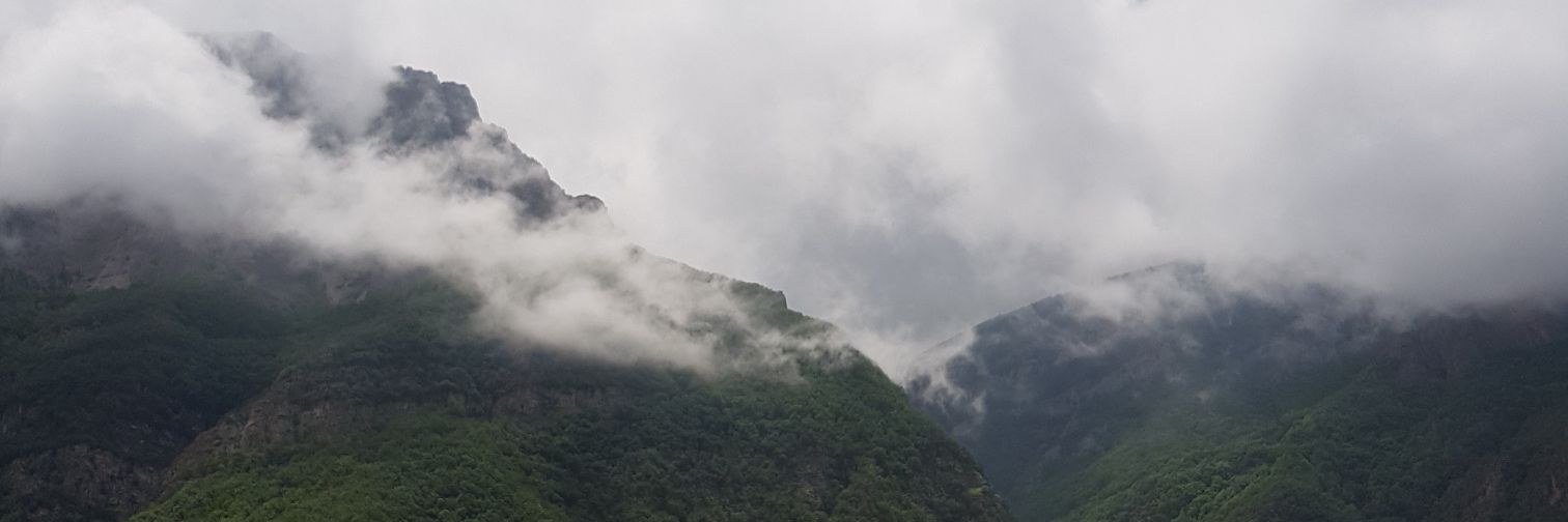 shimas99's profile banner image