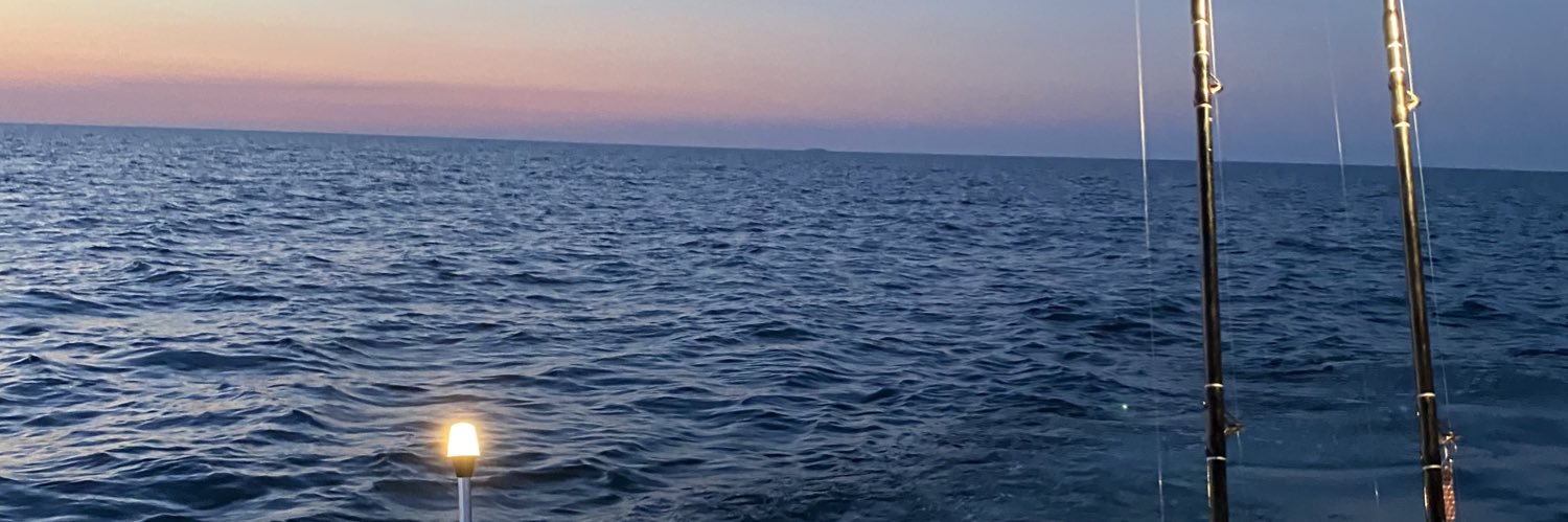 Cgose5's profile banner image