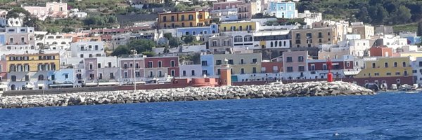 syne0815 Profile Banner