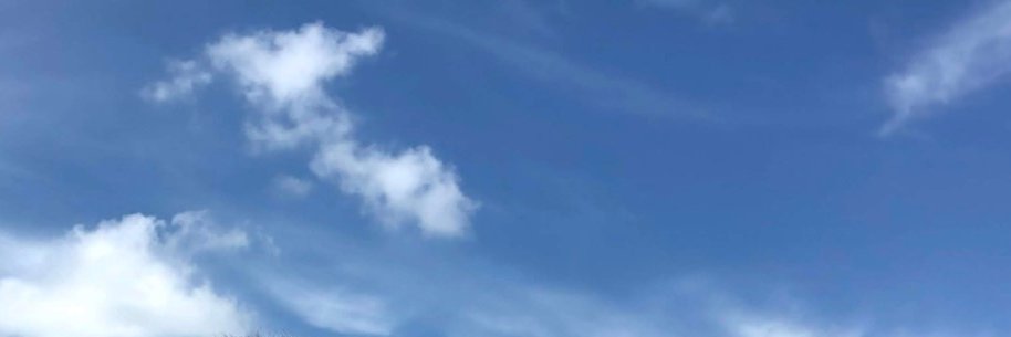 mastico's profile banner image