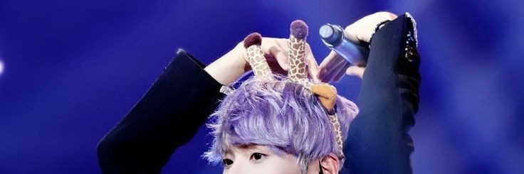 kimyelflee's profile banner image