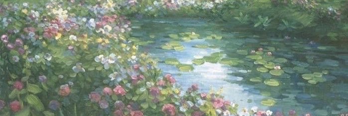 Antonellabook's profile banner image