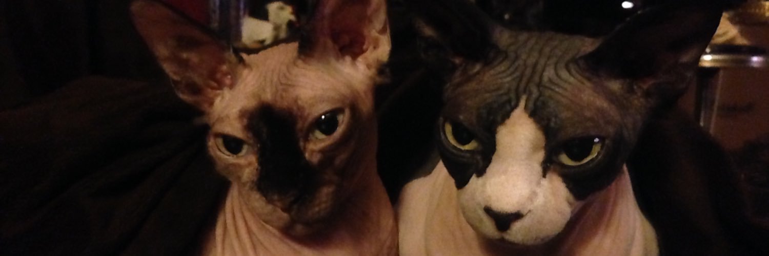 mgmtattoos's profile banner image