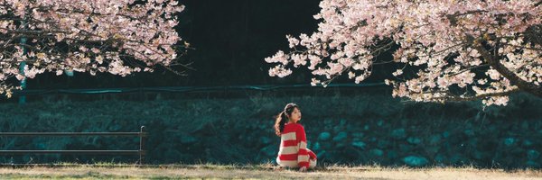 nekonosuke_ Profile Banner