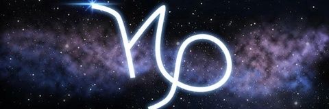mamican banner