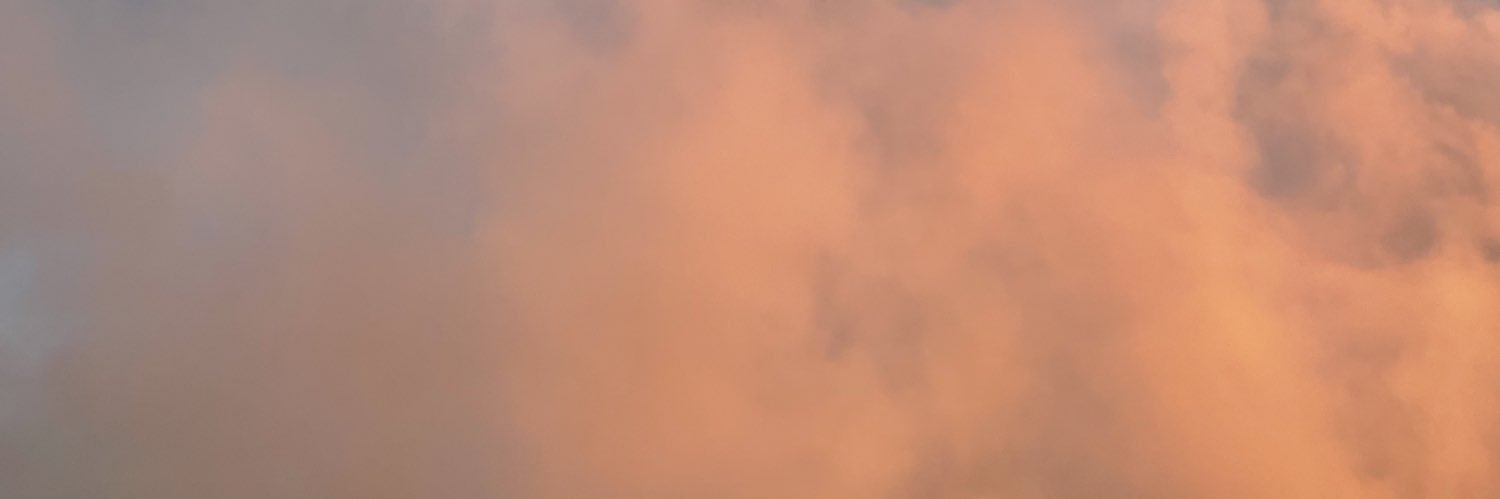 RachelBayldon's profile banner image