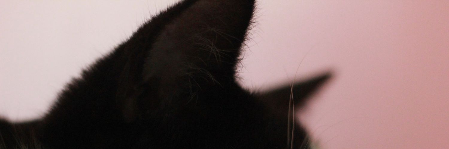 fit banner