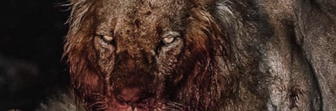 Landon Hahn banner