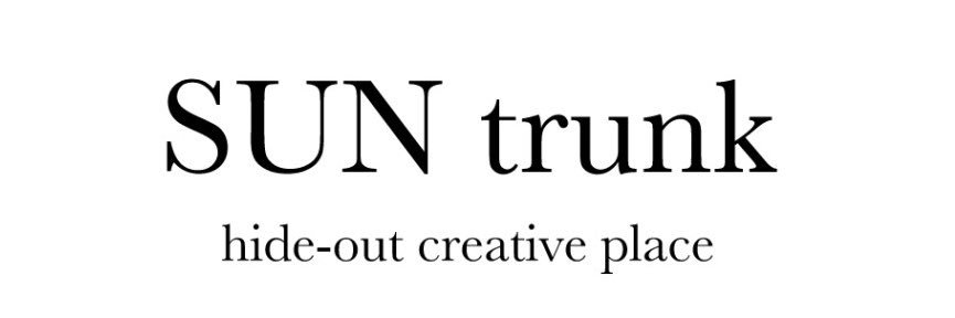 SunTrunk11's profile banner image