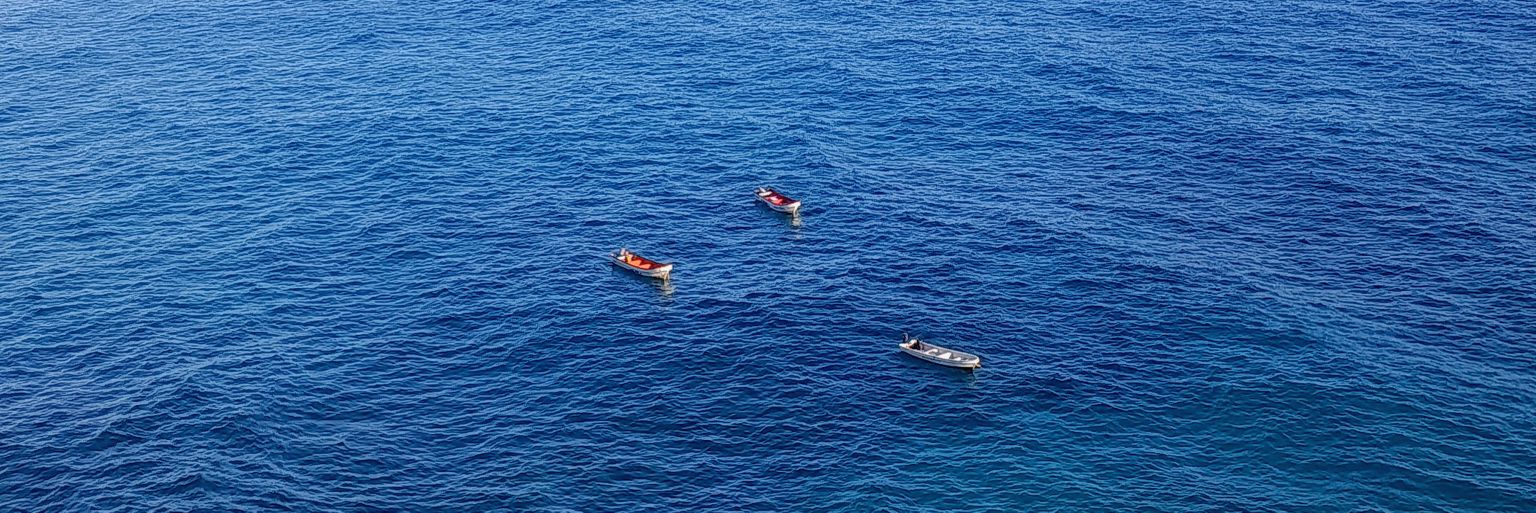 🌊 banner