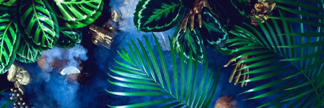 g_etak's profile banner image