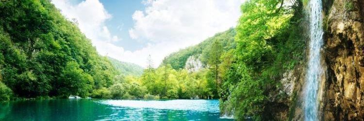 lsn2200's profile banner image