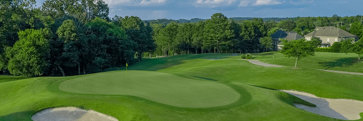 Trend Catcher banner