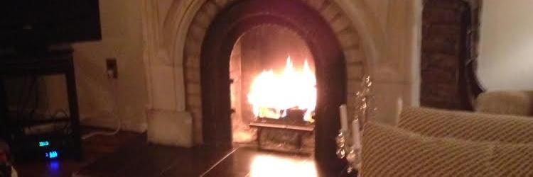 Steve Merlesena banner