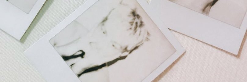 jamss 🥑 | LIGHTS 🌩️| banner