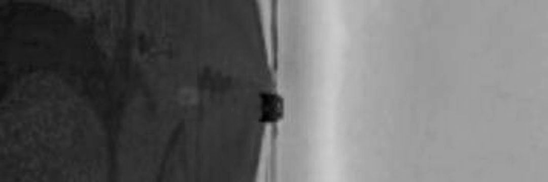 MAX banner