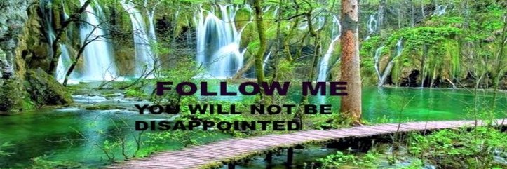 Tasneem Hameed banner
