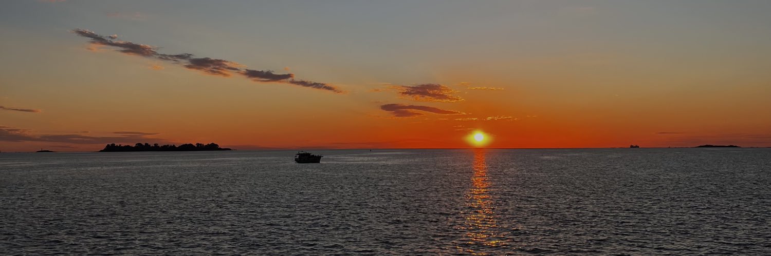 soltorrant's profile banner image