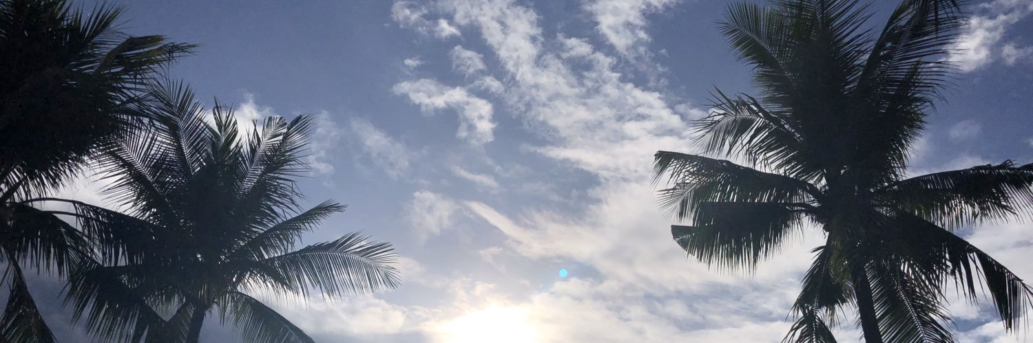 djd634's profile banner image
