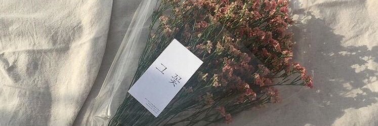 m banner