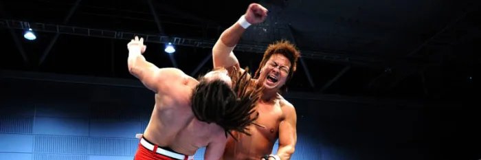 Pro Wrestling™️'s banner