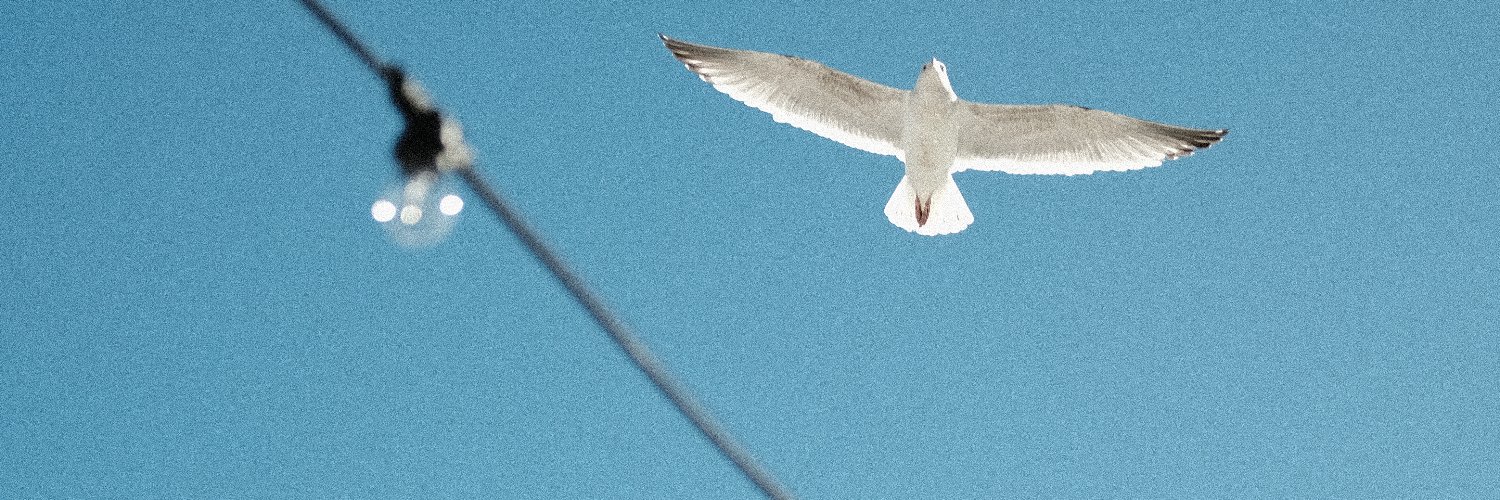 José Gasparian banner