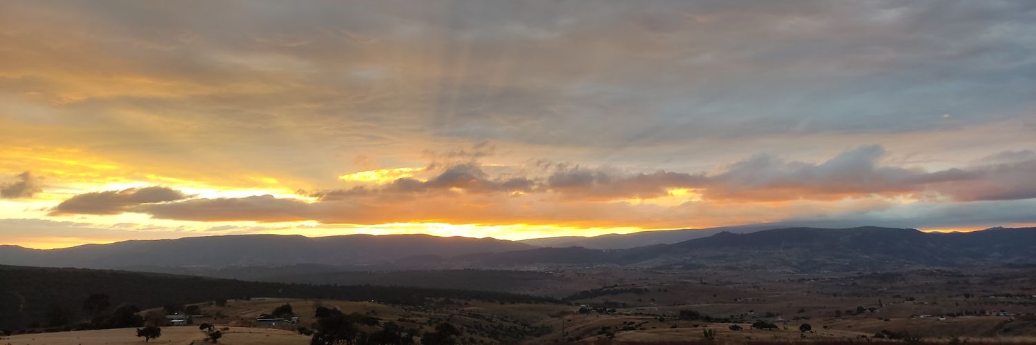 ed_avm banner