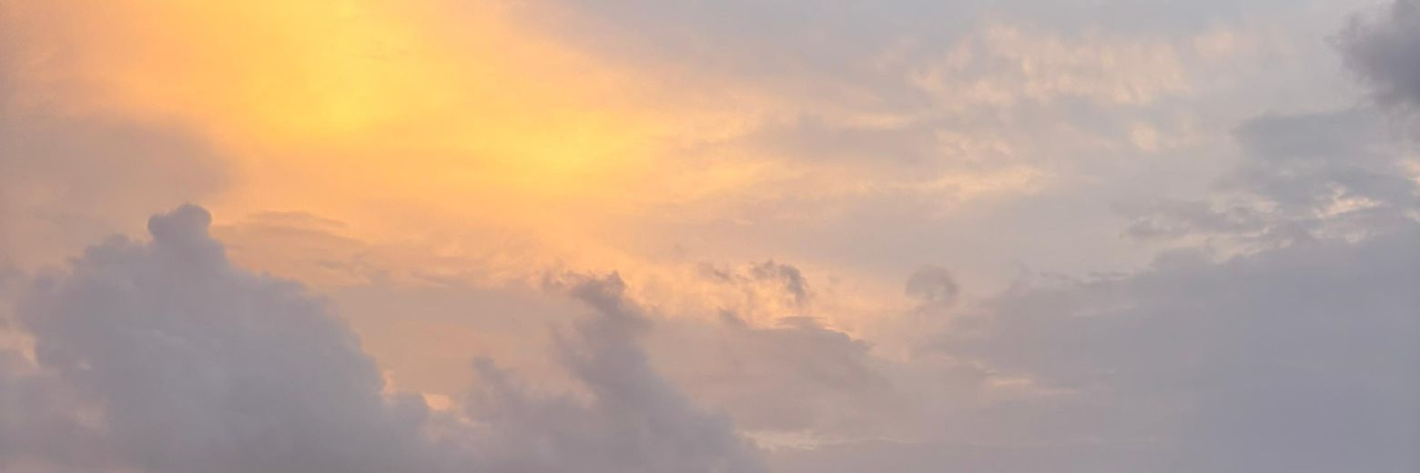 Meghap22's profile banner image