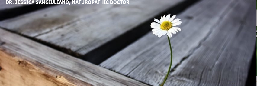 Dr. Jess Sangiuliano banner