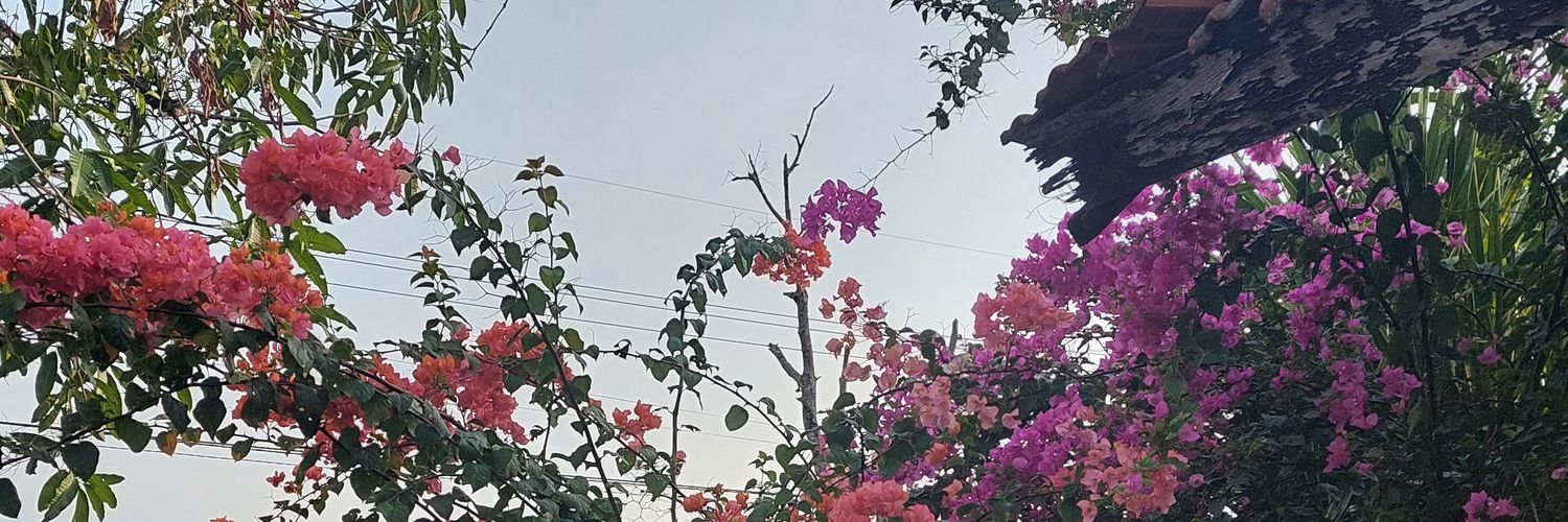 viprilla's profile banner image