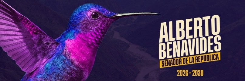 albertobemo's profile banner image