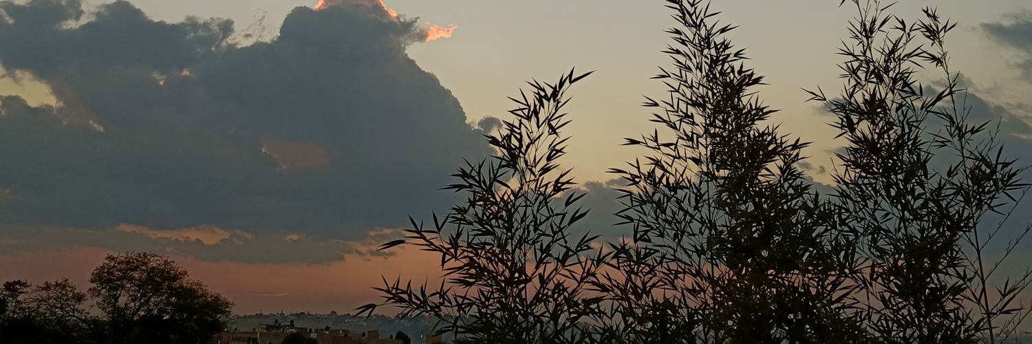 thenewAX13's profile banner image