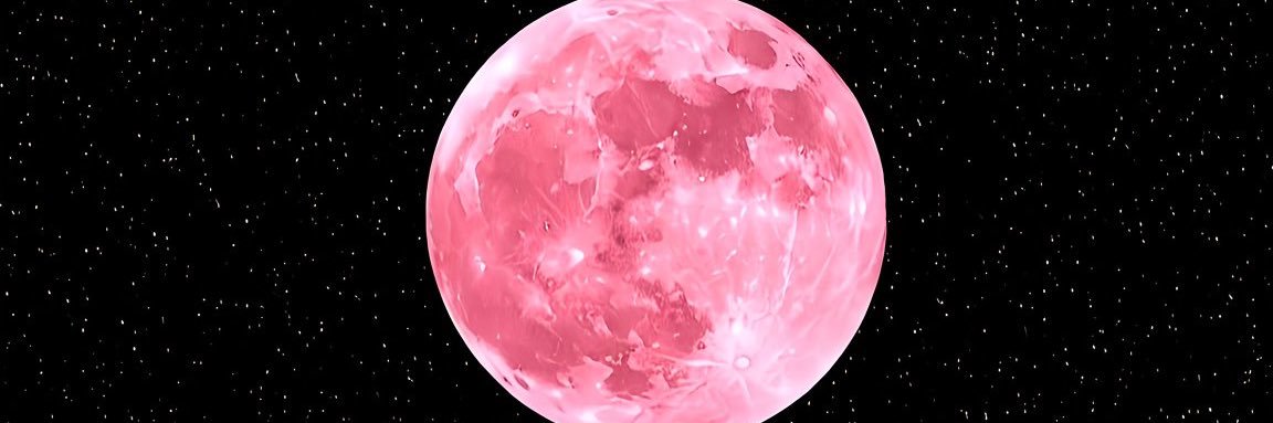 nonsaskin's profile banner image