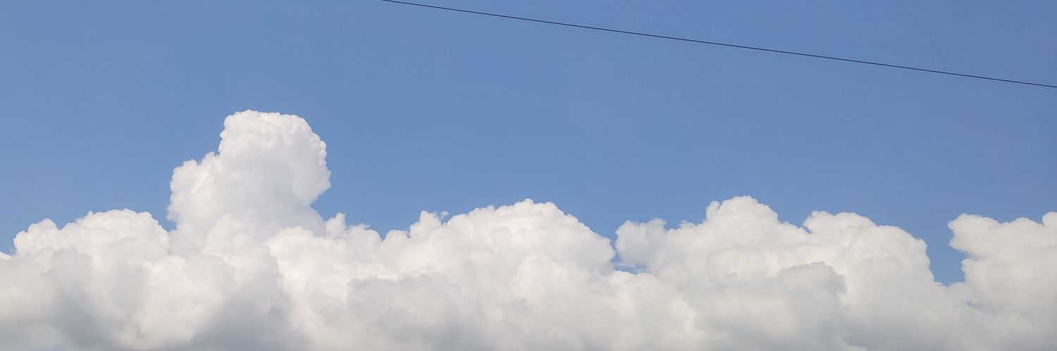 juliette's banner